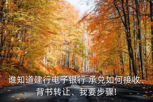 誰知道建行電子銀行 承兌如何接收、背書轉(zhuǎn)讓、我要步驟!