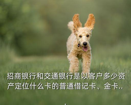  招商銀行和交通銀行是以客戶多少資產(chǎn)定位什么卡的普通借記卡、金卡...