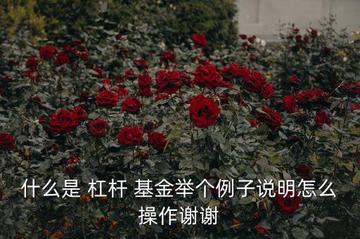 什么是 杠桿 基金舉個(gè)例子說明怎么操作謝謝