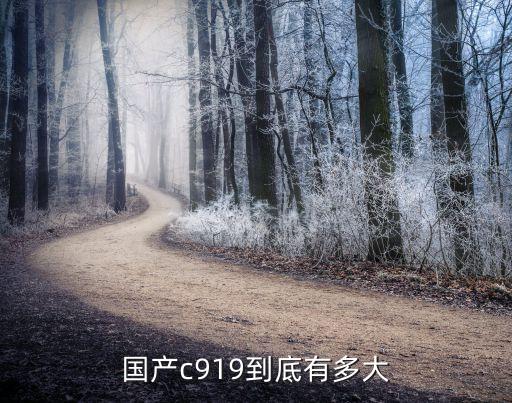 中國建造最大飛機,中國最大的飛機是哪一個