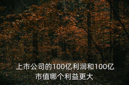  上市公司的100億利潤和100億市值哪個利益更大