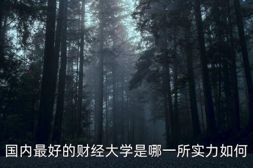 國內(nèi)最好的財經(jīng)大學是哪一所實力如何