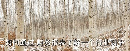 如何通過 財(cái)務(wù)報(bào)表了解一個(gè)行業(yè)知乎
