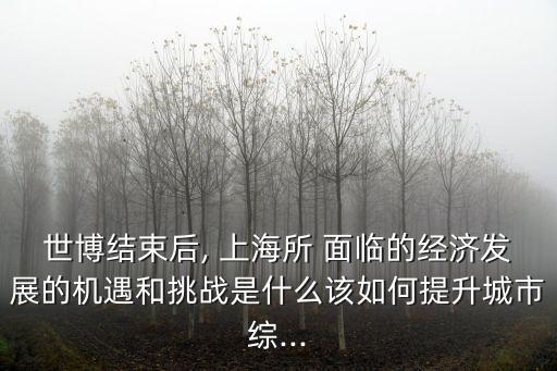 世博結(jié)束后, 上海所 面臨的經(jīng)濟(jì)發(fā)展的機(jī)遇和挑戰(zhàn)是什么該如何提升城市綜...