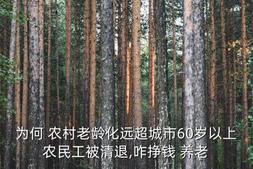 為何 農(nóng)村老齡化遠(yuǎn)超城市60歲以上農(nóng)民工被清退,咋掙錢 養(yǎng)老