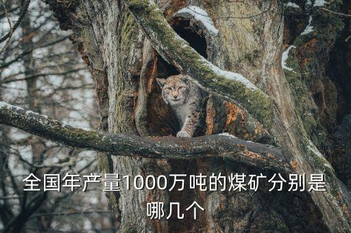 全國年產(chǎn)量1000萬噸的煤礦分別是哪幾個(gè)