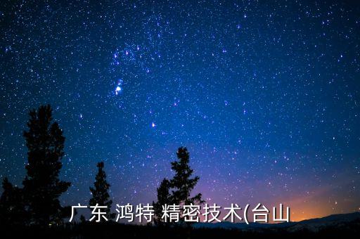 鴻特精密股票,鴻騰精密股票06088