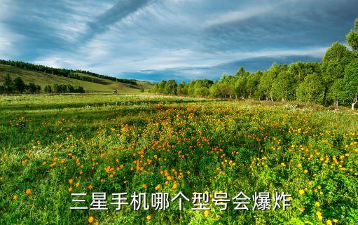 三星做中國人民喜愛的企業(yè),中國三星做中國人民喜愛的