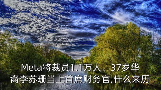 Meta將裁員1.1萬人、37歲華裔李蘇珊當(dāng)上首席財務(wù)官,什么來歷