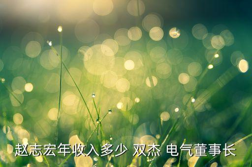 趙志宏年收入多少 雙杰 電氣董事長(zhǎng)