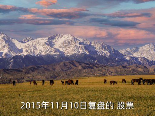 2015年11月10日復(fù)盤的 股票
