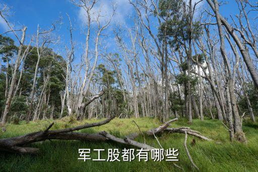 太陽(yáng)鳥(niǎo)股票怎么樣,開(kāi)封市太陽(yáng)鳥(niǎo)幼稚園怎么樣