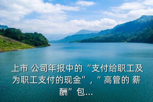  上市 公司年報中的“支付給職工及為職工支付的現(xiàn)金”,“ 高管的 薪酬”包...