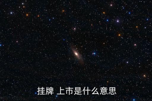  掛牌 上市是什么意思