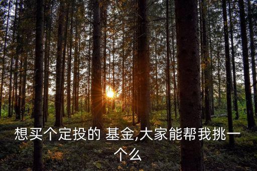 南方寶元債券基金202101