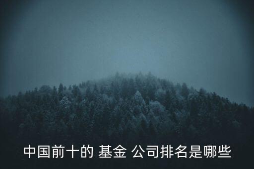 中國前十的 基金 公司排名是哪些