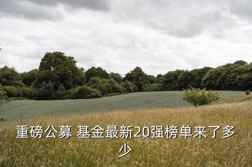 嘉實(shí)基金資產(chǎn)規(guī)模