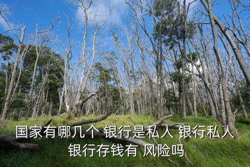 國家有哪幾個 銀行是私人 銀行私人 銀行存錢有 風(fēng)險嗎