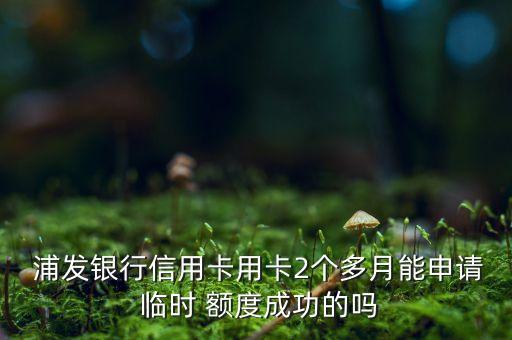  浦發(fā)銀行信用卡用卡2個多月能申請 臨時 額度成功的嗎