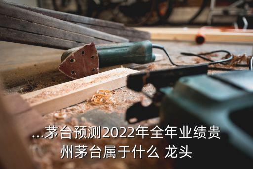 ...茅臺(tái)預(yù)測(cè)2022年全年業(yè)績(jī)貴州茅臺(tái)屬于什么 龍頭