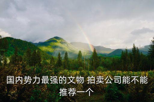 國內(nèi)勢力最強的文物 拍賣公司能不能推薦一個