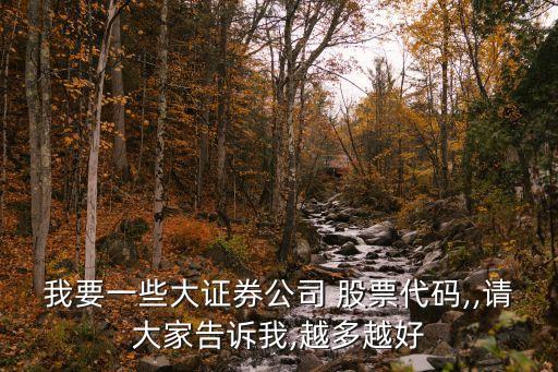 我要一些大證券公司 股票代碼,,請大家告訴我,越多越好