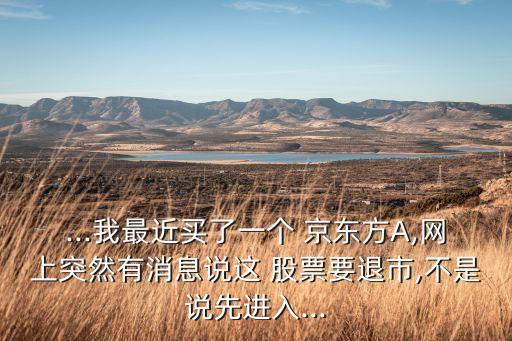 ...我最近買了一個 京東方A,網(wǎng)上突然有消息說這 股票要退市,不是說先進(jìn)入...