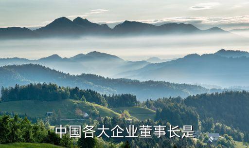 中國(guó)建筑孫文杰退休講話,孫文杰 中國(guó)建筑工程總公司董事長(zhǎng)