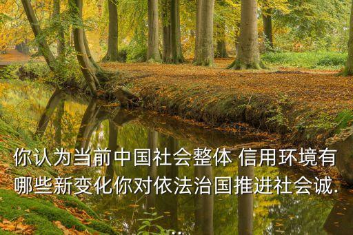 中國的信用體系
