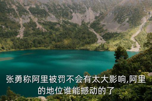 中國(guó)反壟斷的企業(yè),企業(yè)反壟斷自查報(bào)告
