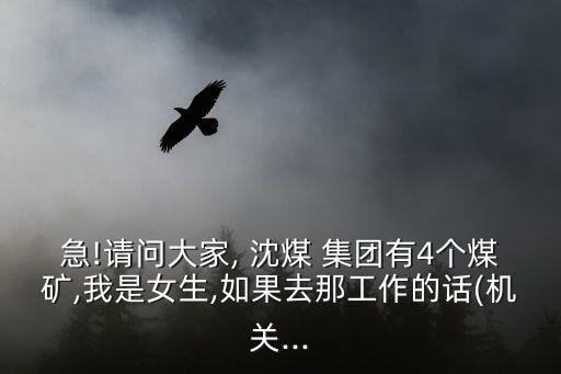 急!請問大家, 沈煤 集團有4個煤礦,我是女生,如果去那工作的話(機關(guān)...