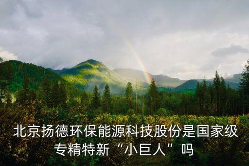  北京揚德環(huán)保能源科技股份是國家級專精特新“小巨人”嗎