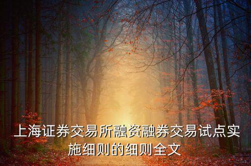  上海證券交易所融資融券交易試點實施細(xì)則的細(xì)則全文