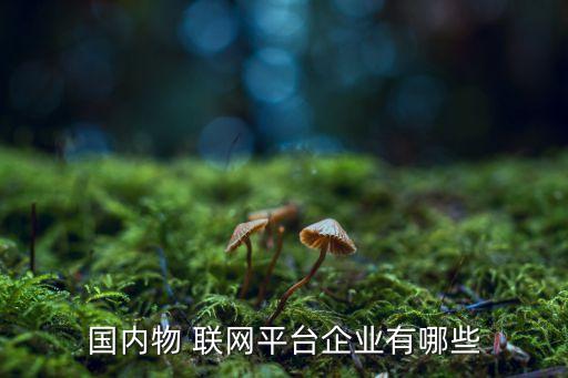 國(guó)內(nèi)物 聯(lián)網(wǎng)平臺(tái)企業(yè)有哪些