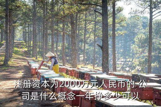 注冊(cè)資本為2000萬元人民幣的 公司是什么概念一年掙多少可以