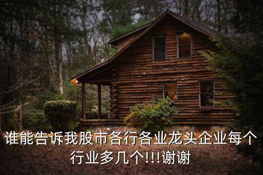 誰能告訴我股市各行各業(yè)龍頭企業(yè)每個(gè)行業(yè)多幾個(gè)!!!謝謝