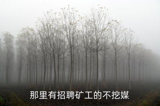 淄博正元礦業(yè)有限公司,阿勒泰正元國(guó)際礦業(yè)有限公司待遇咋樣