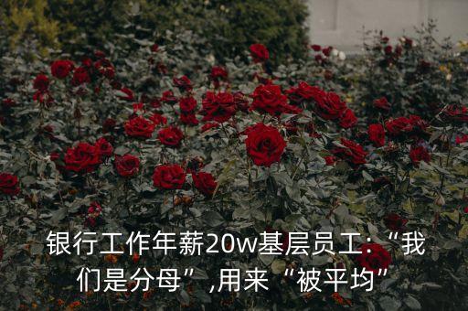  銀行工作年薪20w基層員工:“我們是分母”,用來“被平均”