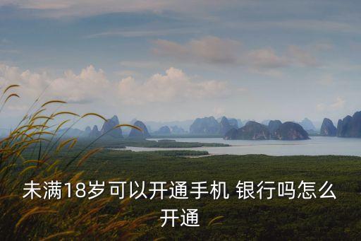 未滿18歲可以開(kāi)通手機(jī) 銀行嗎怎么開(kāi)通
