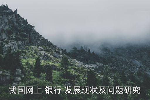 我國網(wǎng)上 銀行 發(fā)展現(xiàn)狀及問題研究