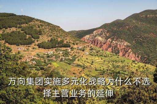 萬向集團(tuán)跨國并購