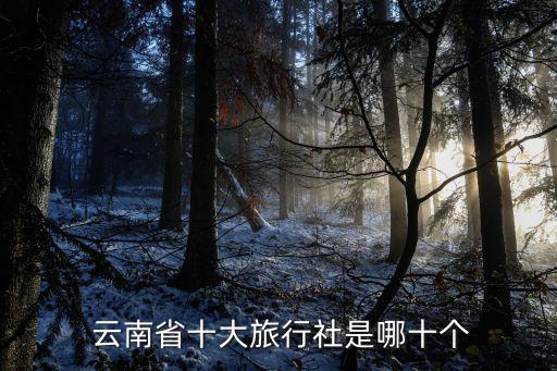 云南旅游集團(tuán),華僑城云南旅游集團(tuán)