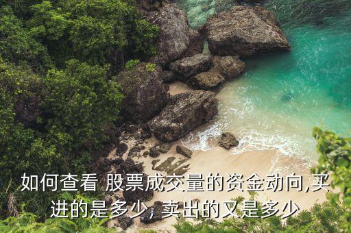 如何查看 股票成交量的資金動向,買進(jìn)的是多少, 賣出的又是多少