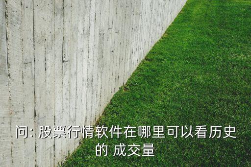 大智慧股票過去3個(gè)月平均成交量如何查詢