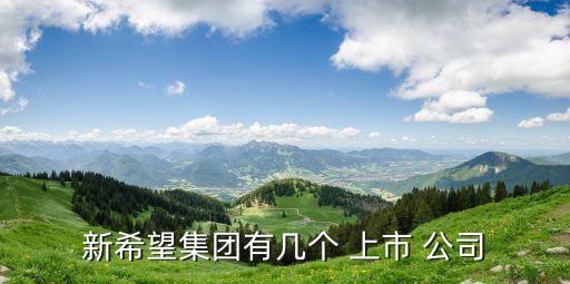 新希望集團有幾個 上市 公司