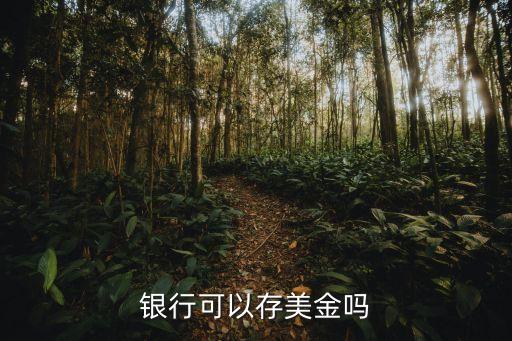 美元存中國銀行能安全嗎,中國銀行美元怎么存定期