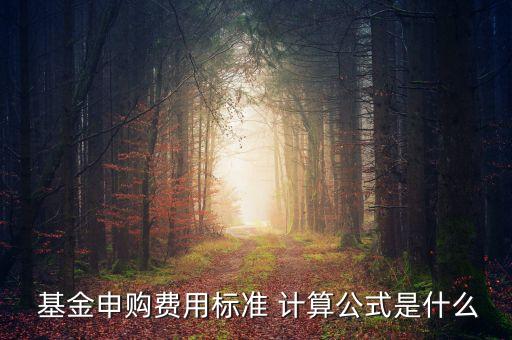  基金申購費(fèi)用標(biāo)準(zhǔn) 計(jì)算公式是什么