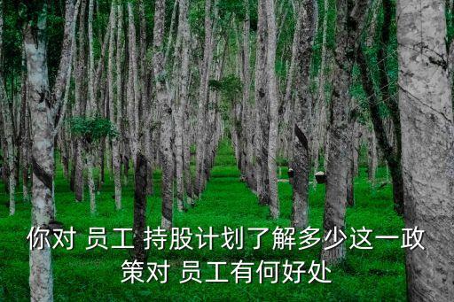 你對(duì) 員工 持股計(jì)劃了解多少這一政策對(duì) 員工有何好處