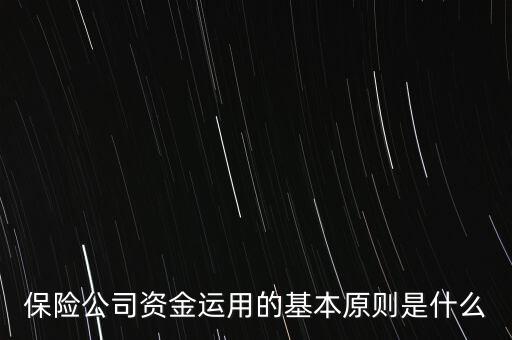 保險(xiǎn)公司資金運(yùn)用的基本原則是什么