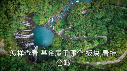 怎樣查看 基金屬于哪個(gè) 板塊,看持倉(cāng)嗎